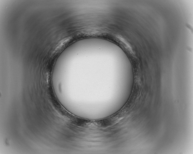 X0000095910115200802011159