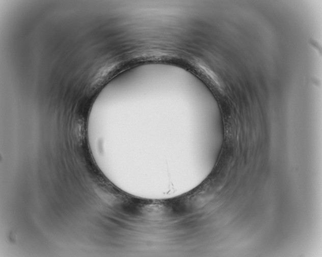 X0000095910119200802011159