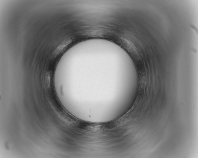 X0000095910120200802011159