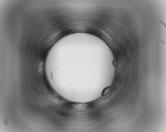 X0000095910122200802011159