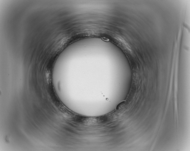 X0000095910123200802011159