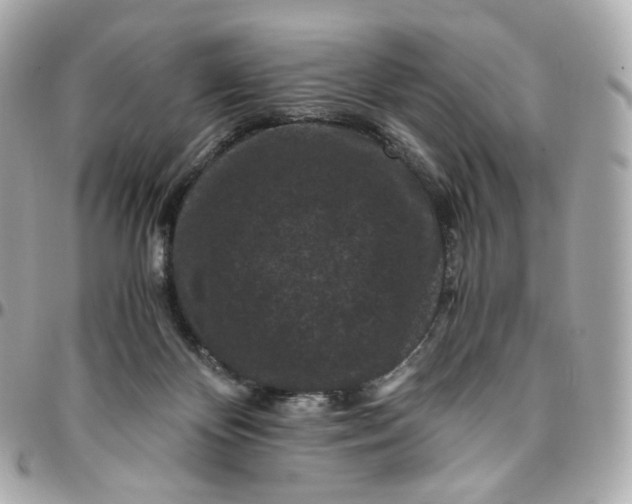 X0000095910124200802011159