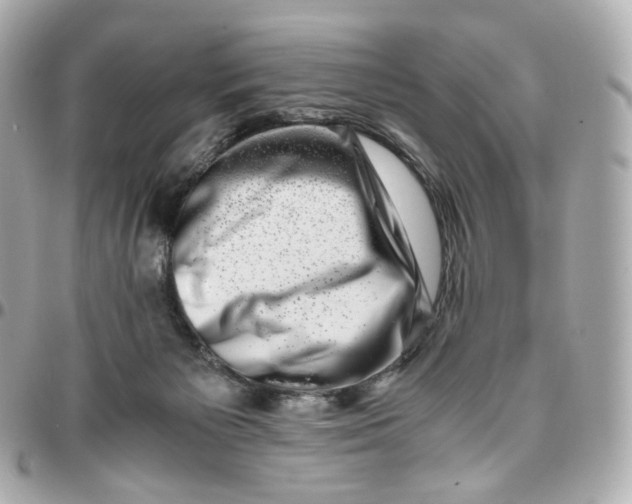 X0000095910125200802011159