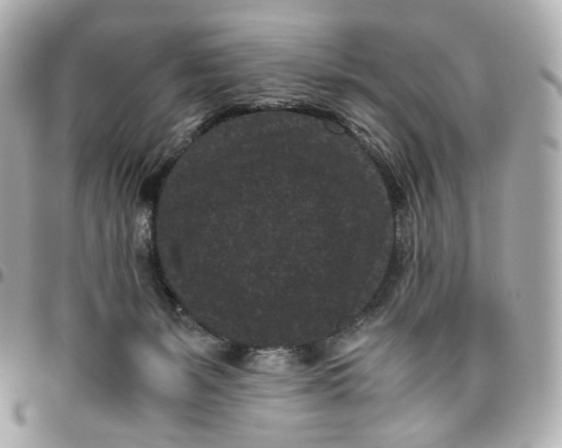 X0000095910127200802011159