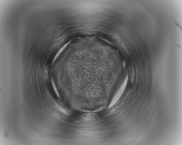 X0000095910128200802011159