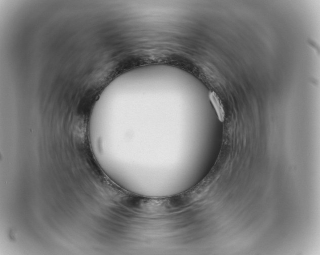 X0000095910129200802011159