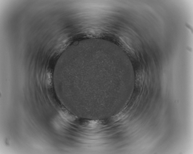 X0000095910130200802011159