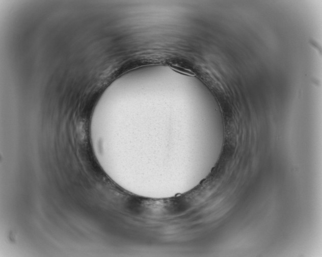 X0000095910131200802011159