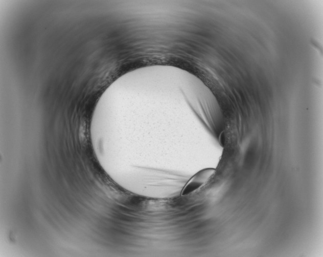 X0000095910134200802011159