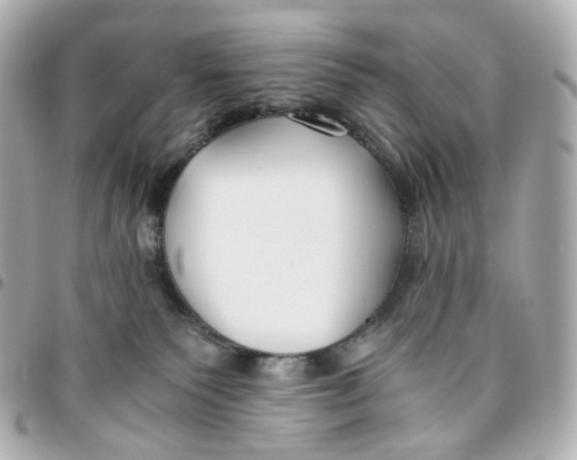 X0000095910135200802011159