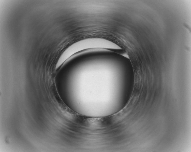 X0000095910136200802011159