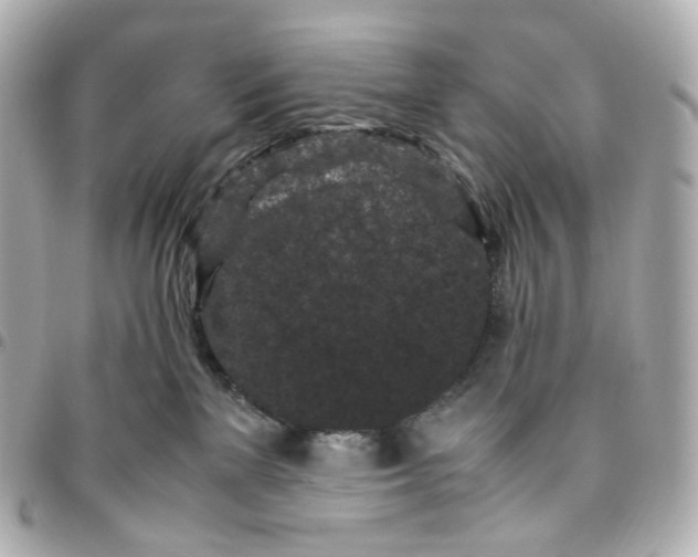 X0000095910137200802011159