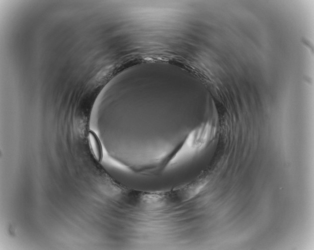 X0000095910139200802011159