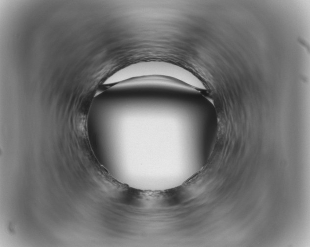 X0000095910141200802011159