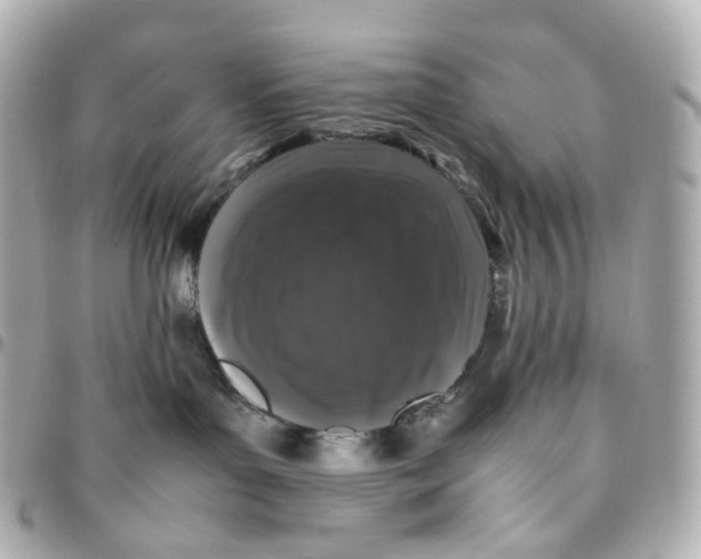 X0000095910143200802011159