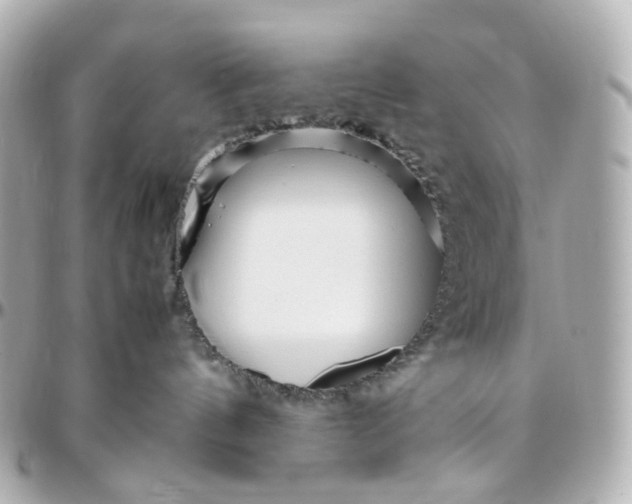 X0000095910144200802011159