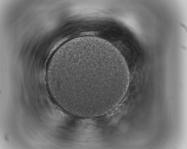 X0000095910146200802011158