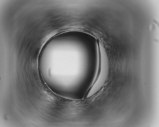 X0000095910148200802011158