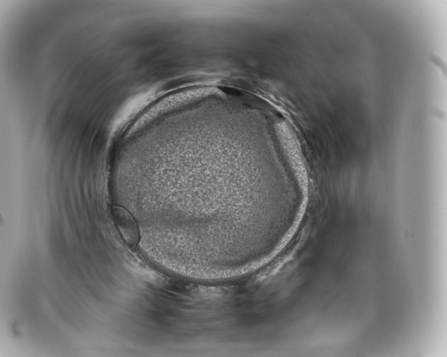 X0000095910149200802011158