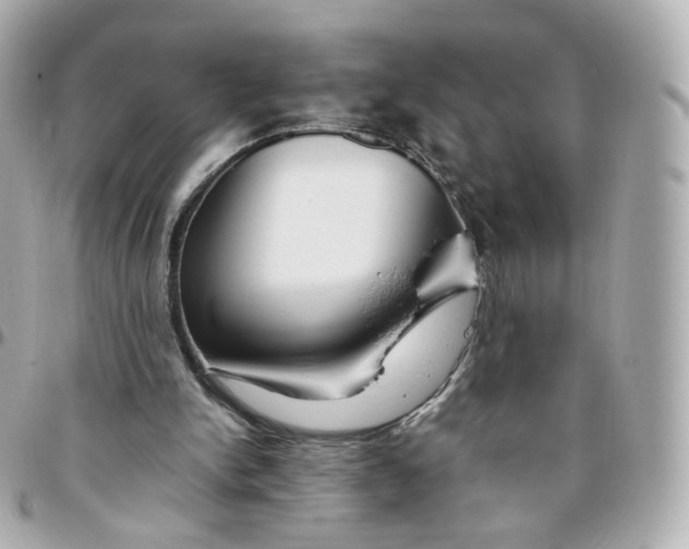 X0000095910150200802011158