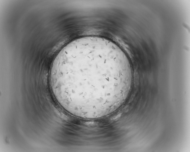 X0000095910153200802011158