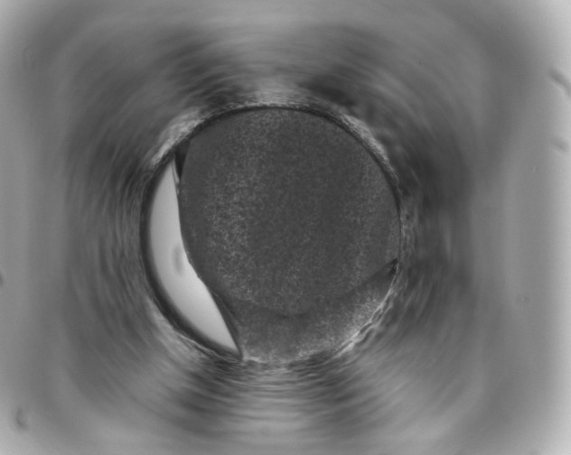 X0000095910154200802011158