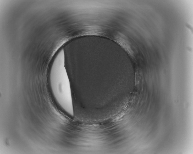 X0000095910156200802011158