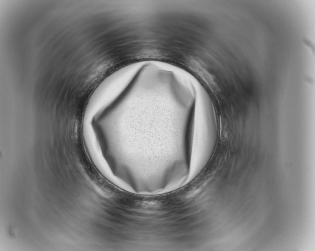 X0000095910157200802011158