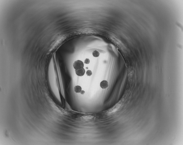 X0000095910158200802011158