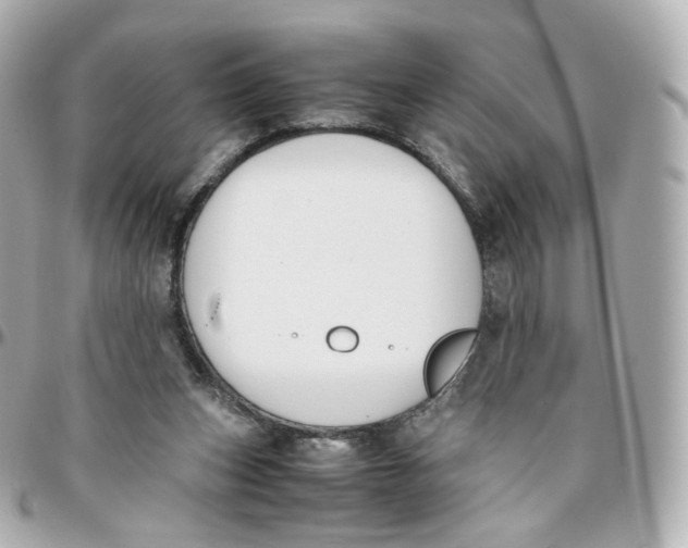 X0000095910159200802011158