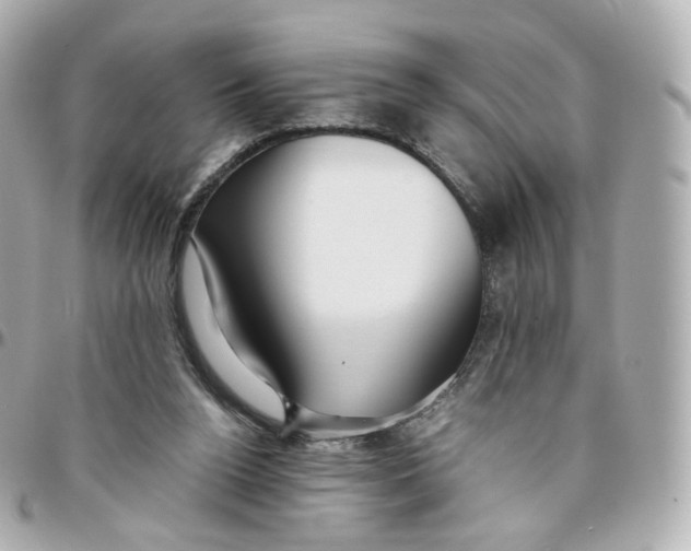 X0000095910160200802011158