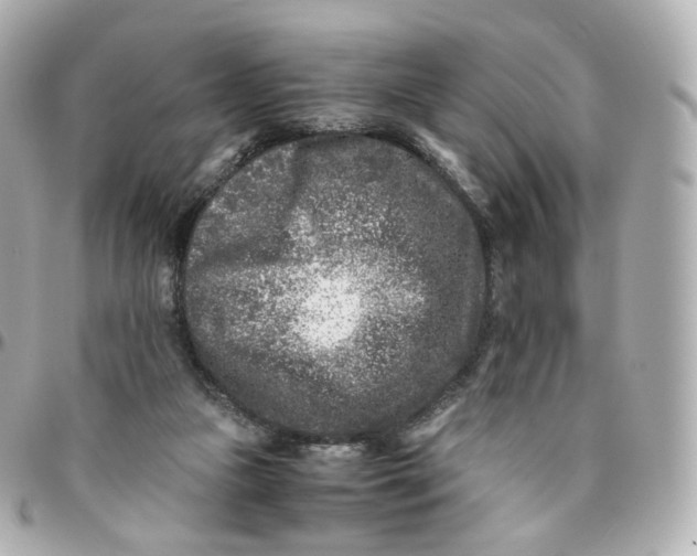 X0000095910161200802011158