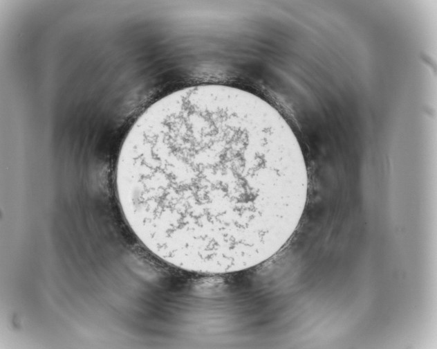 X0000095910162200802011158