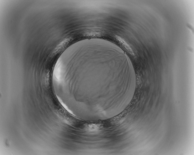 X0000095910163200802011158