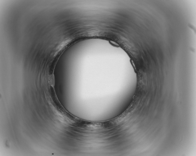 X0000095910164200802011158