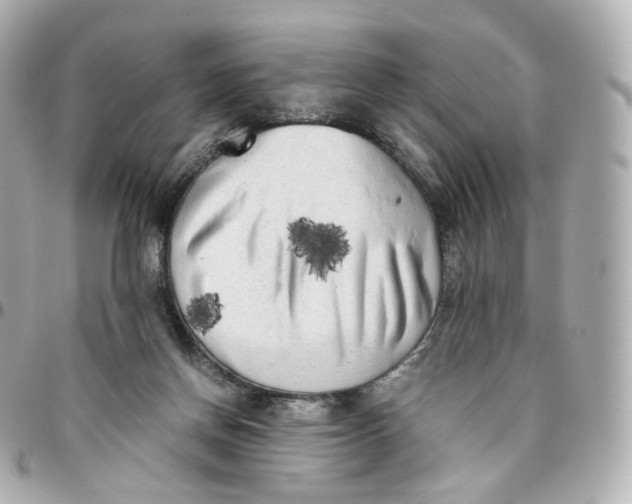 X0000095910166200802011158