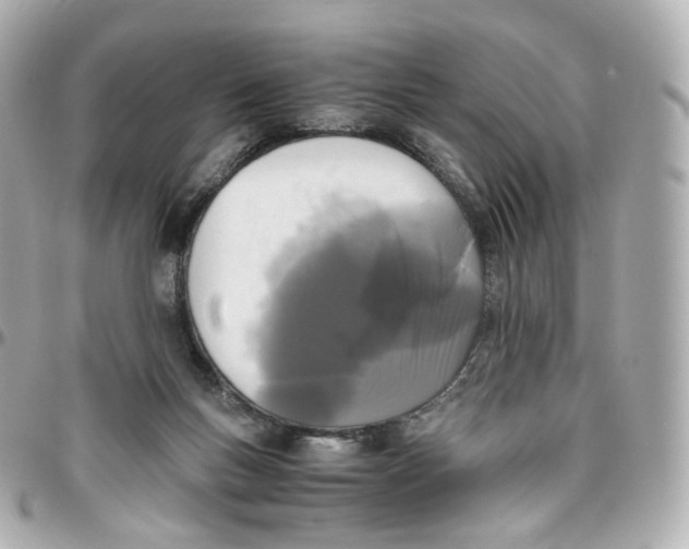 X0000095910167200802011158