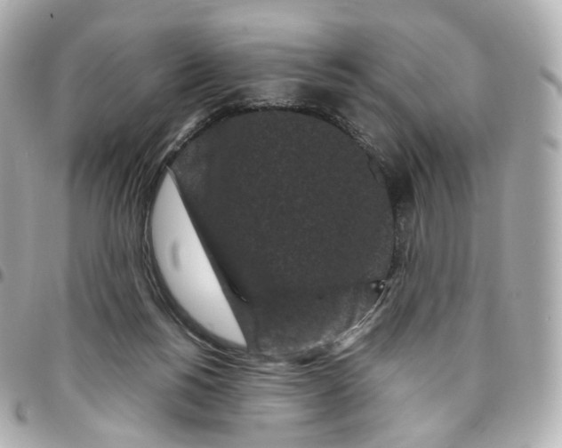 X0000095910168200802011158