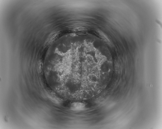 X0000095910169200802011158