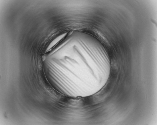 X0000095910170200802011158