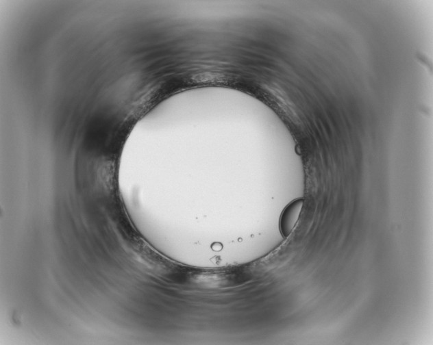 X0000095910171200802011158