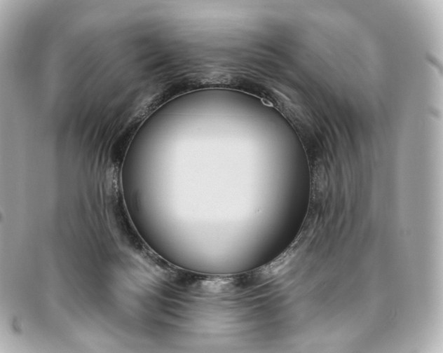 X0000095910172200802011158