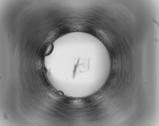 X0000095910173200802011158