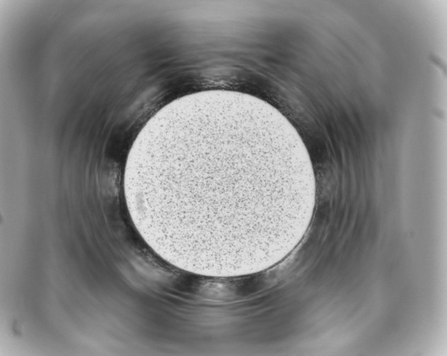 X0000095910174200802011158