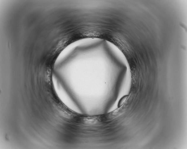 X0000095910175200802011158