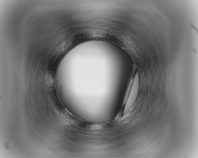 X0000095910176200802011158