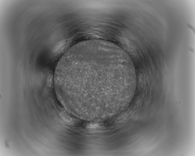 X0000095910177200802011158