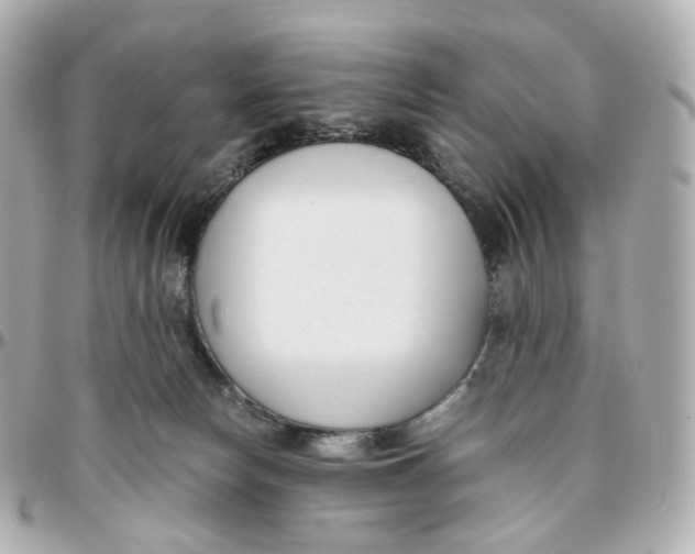 X0000095910178200802011158