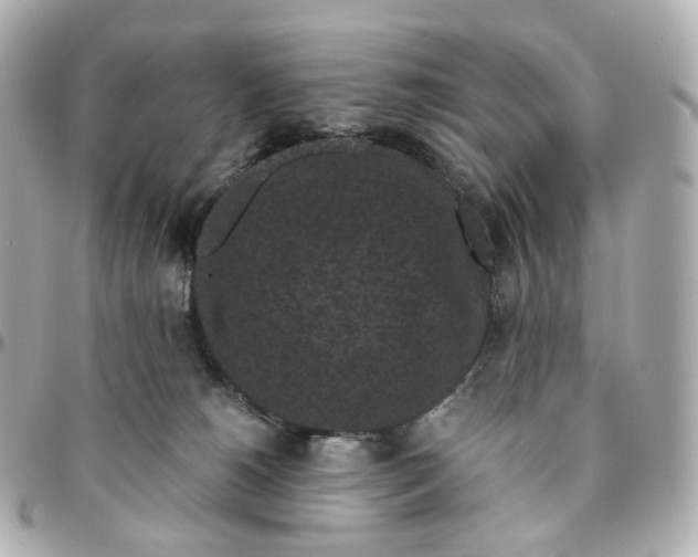 X0000095910180200802011158