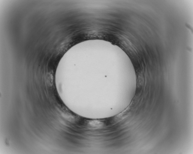 X0000095910183200802011158